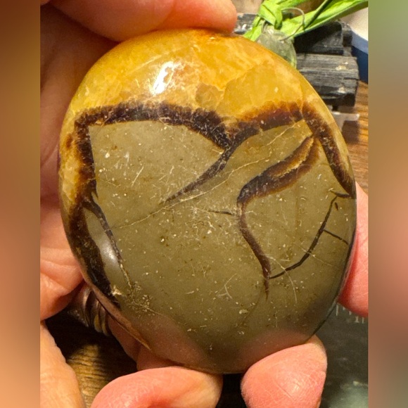 Beautiful Septarian palm stone #2 - Picture 10 of 14